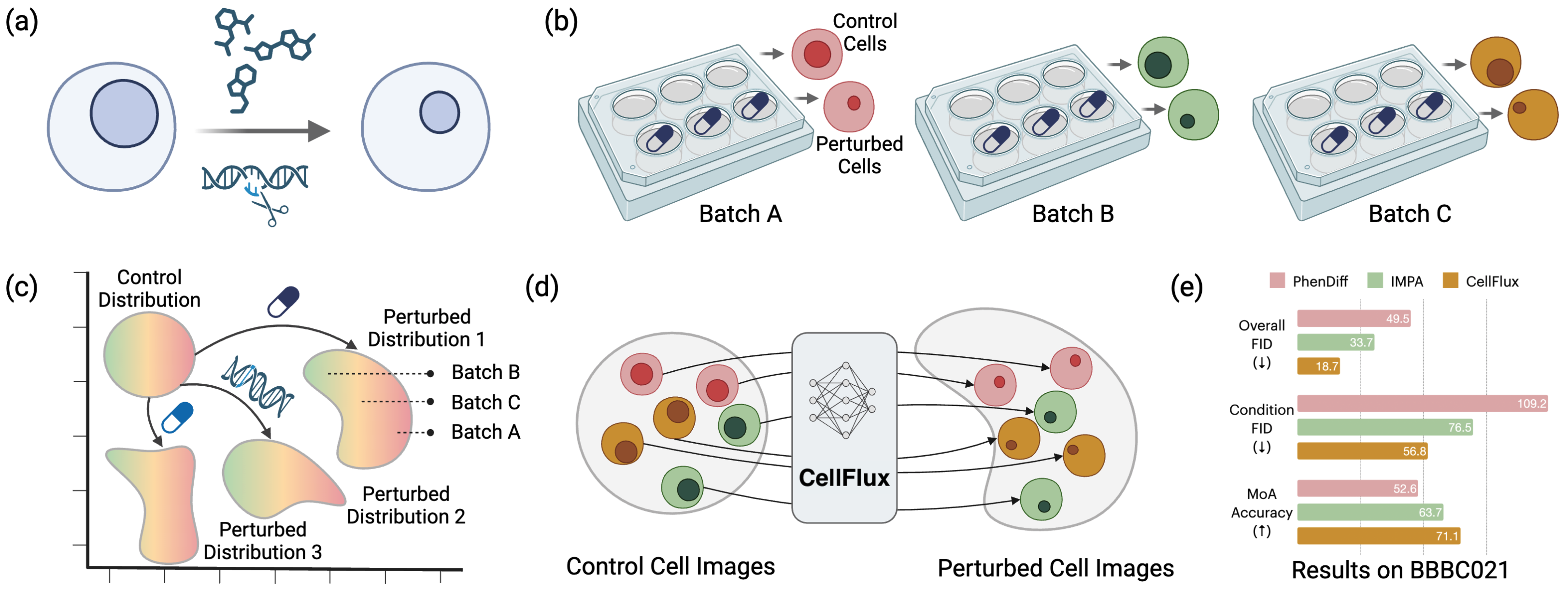CellFlux Overview