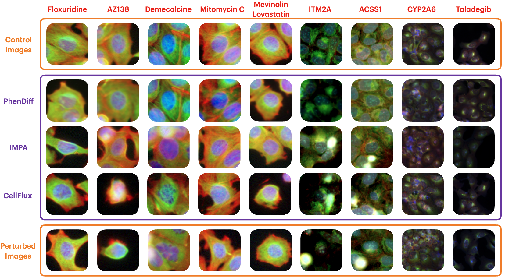 Detailed Performance Metrics